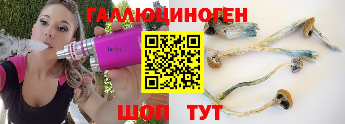 Краснознаменск  Псилоцибиновые грибы прущие грибы  Галлюциногенные грибы мухоморы  Вход с VPN 